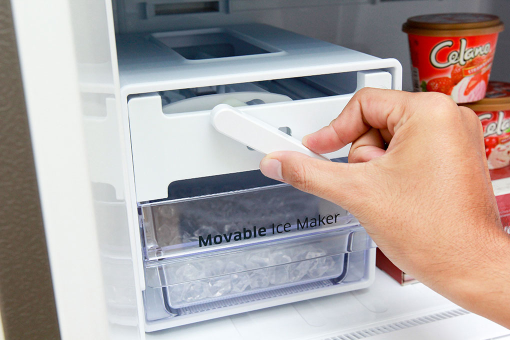 Tủ lạnh (305 lít)