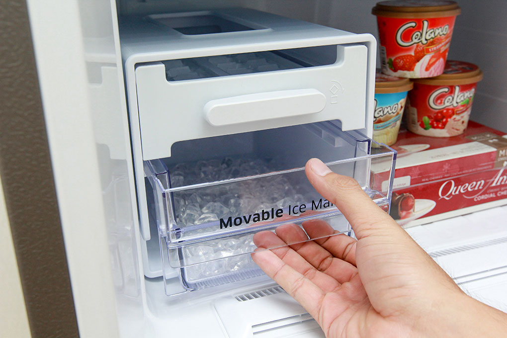 Tủ lạnh (305 lít)