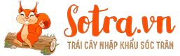 sotra.vn