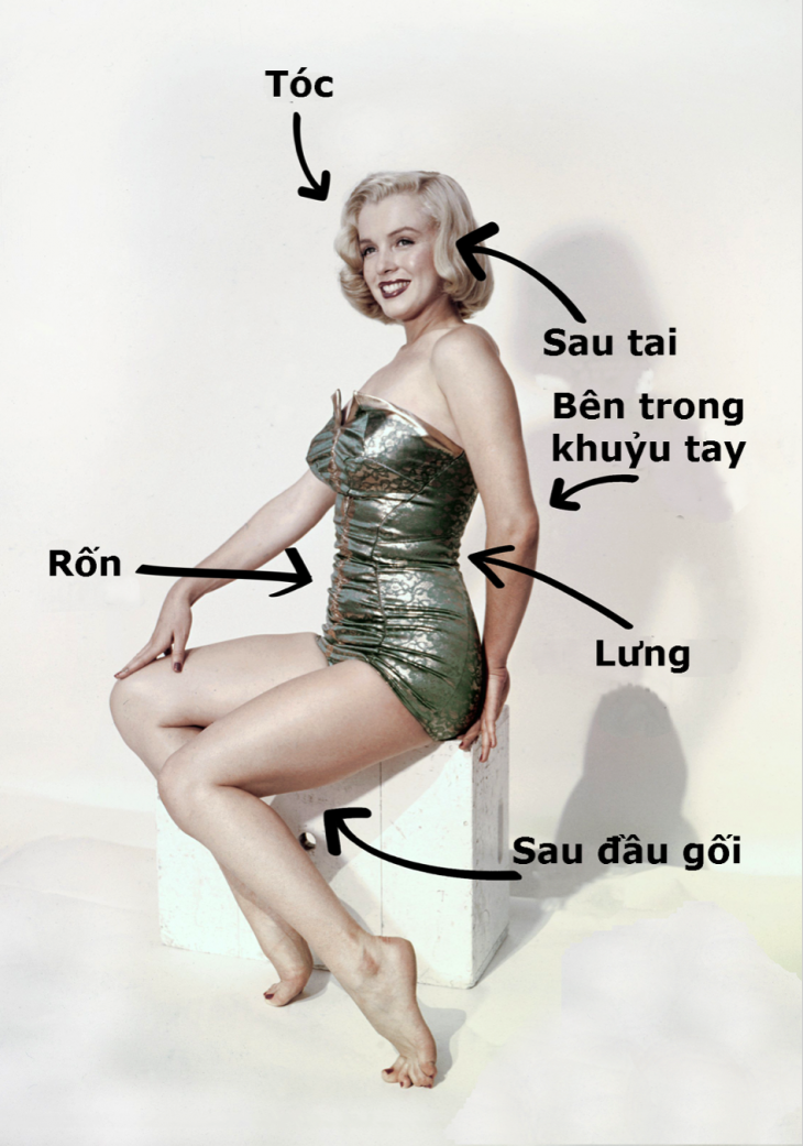 7 vị trí khiến cách xịt nước hoa “chuẩn không cần chỉnh”