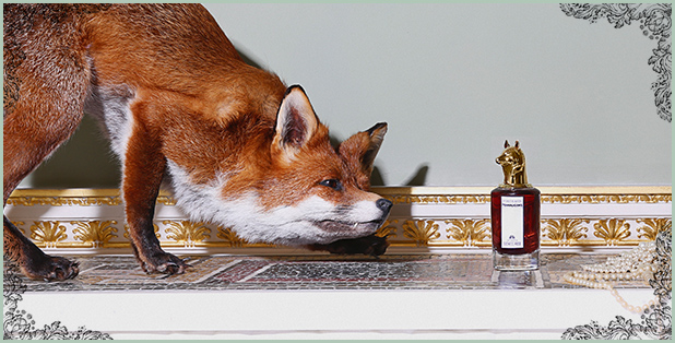 Portraits Penhaligon's Duchess Rose Linh Perfume