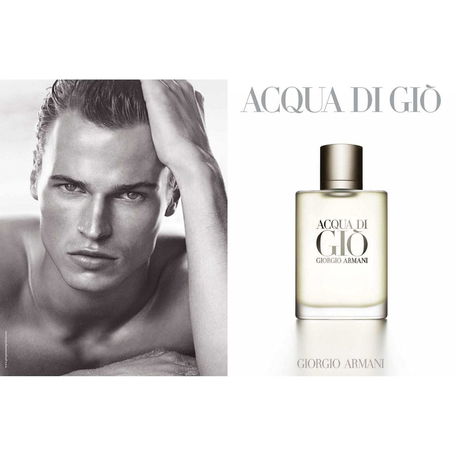 Nước Hoa Nam Giorgio Armani Acqua Di Gio Linh Perfume