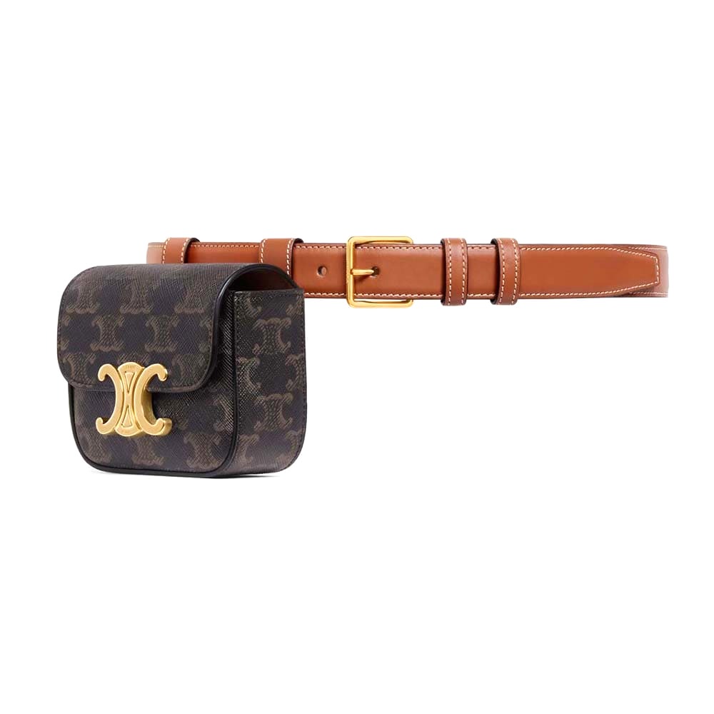 TÚI Celine Women Belt Bag Triomphe Belt in Triomphe Canvas and Calfskin