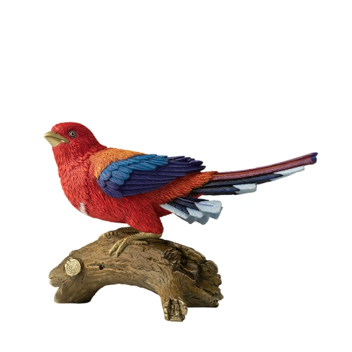 Chim cu gáy kim cương Hà Lan ( Daimond Dove ) | 5giay Chim cu gáy kim cương Hà Lan ( Daimond Dove ) | 5giay