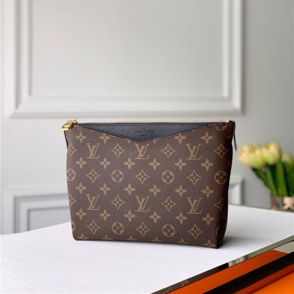 Túi LOUIS VUITTON Pouch handbag