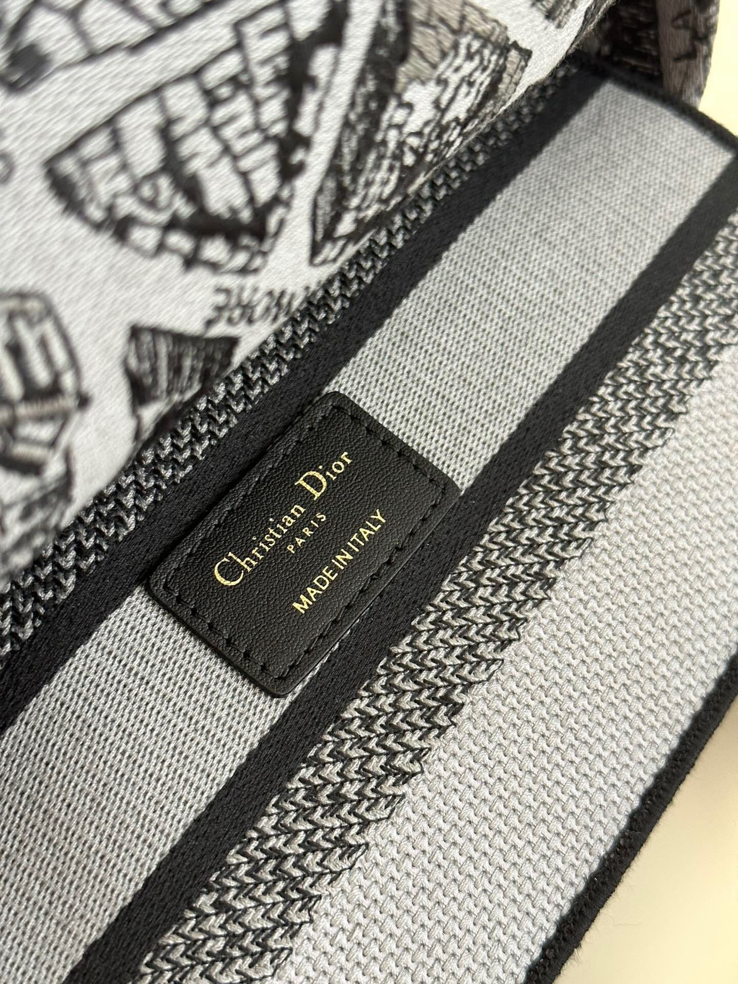 TÚI CHRISTIAN DIOR Lady D-lite Black Toile de Jouy Reverse Embroidery