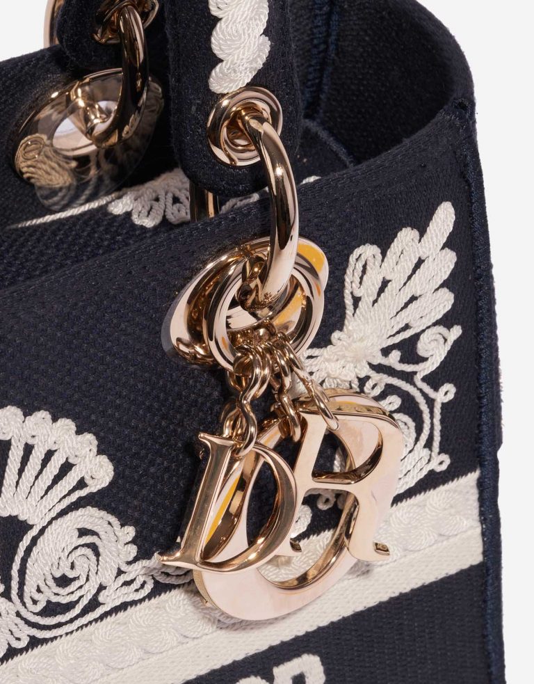 TÚI Dior Lady D-Lite Medium Canvas Blue  White