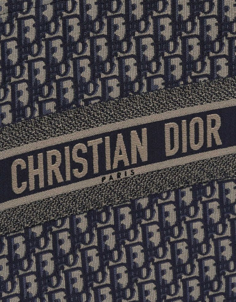 TÚI Dior Book Tote Large Canvas Blue White