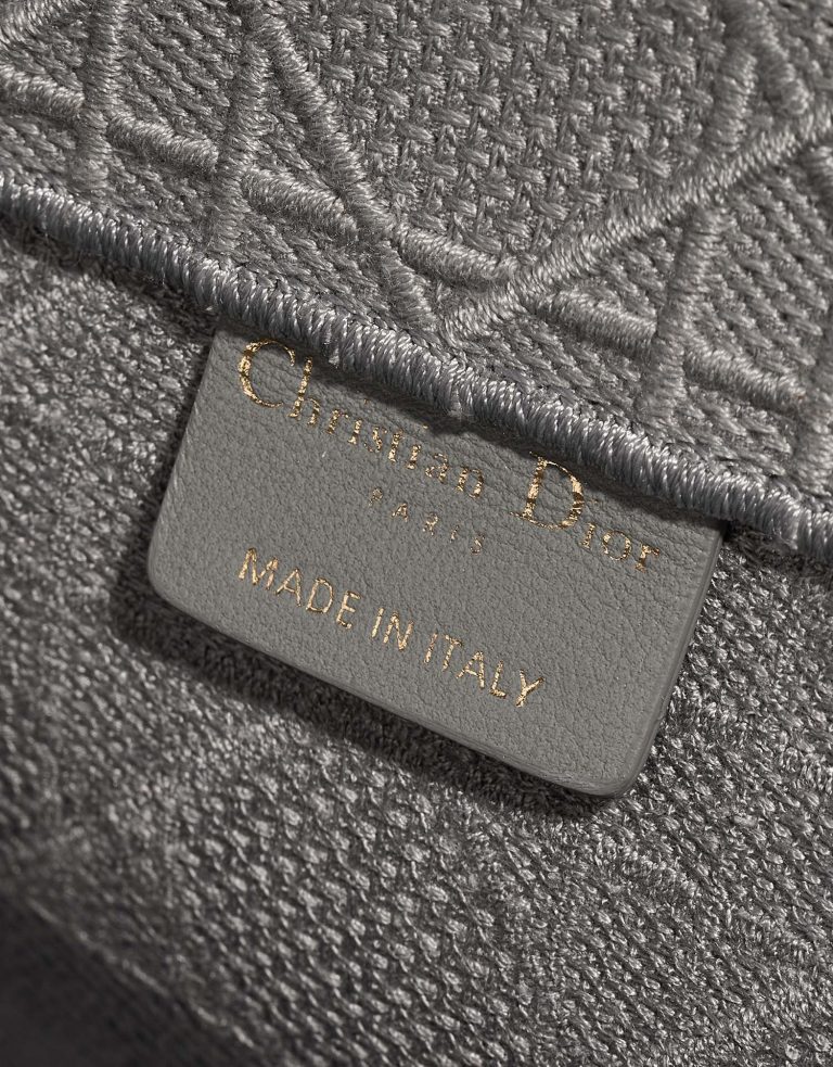 TÚI Dior Book Tote Medium Canvas Grey