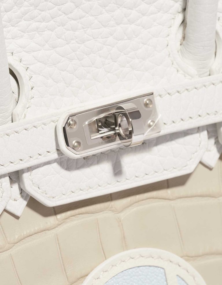 TÚI Hermès Birkin 20 Faubourg Matte Alligator Togo Epsom