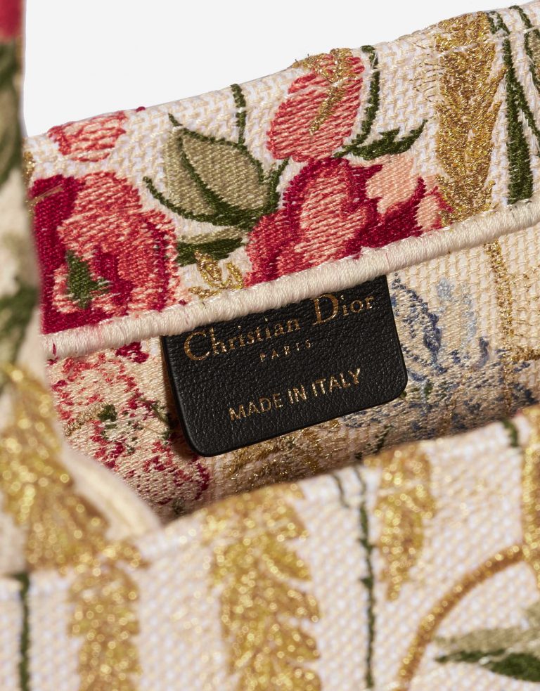 TÚI DIOR Book Tote Small Canvas Multicolour