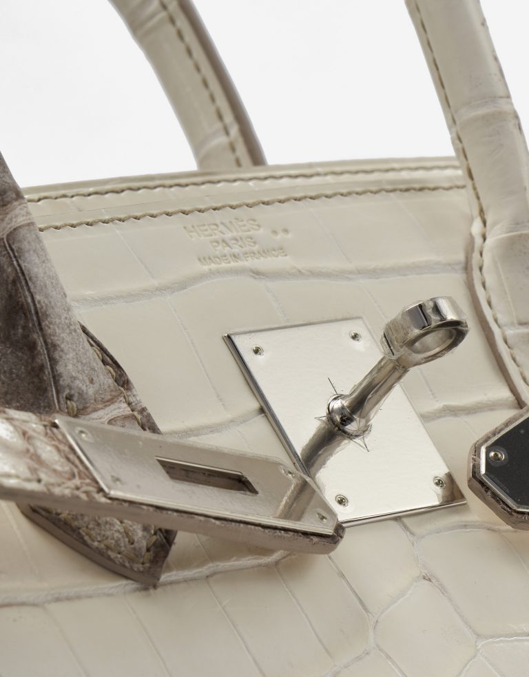 TÚI Hermès Birkin 30 Niloticus Himalaya Blanc da cá sấu bạch tạng Himalayan Silver Buckle khóa trắng