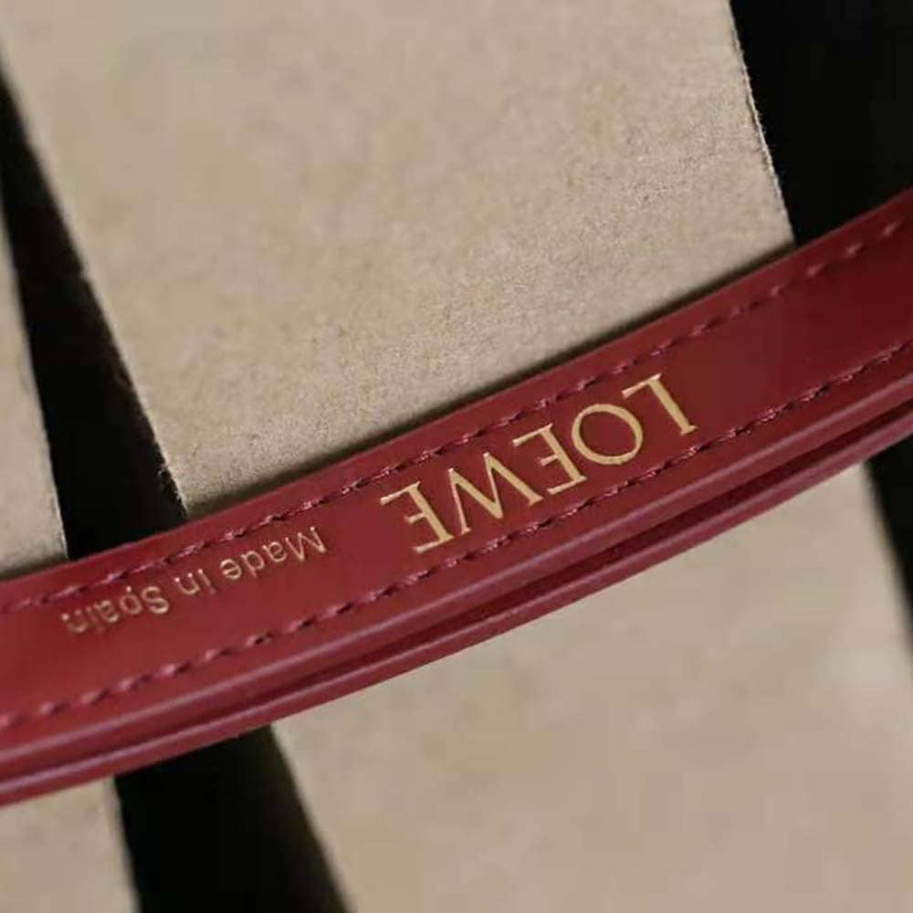 TÚI LOEWE Goya bằng da bê lụa màu nâu đỏ