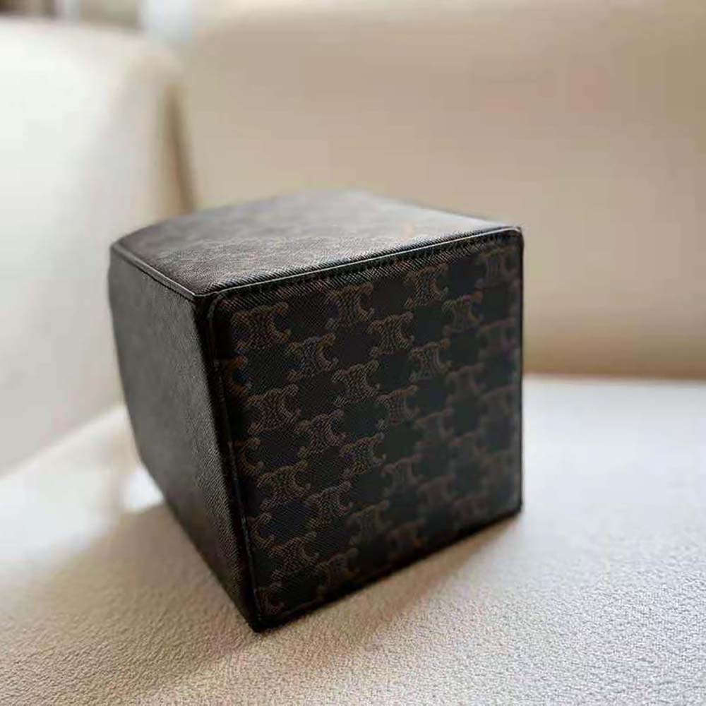 TÚI Celine Women Cube Bag Cuir Triomphe in Triomphe Canvas and Calfskin