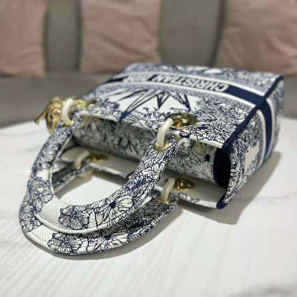 TÚI Christian Dior Lady D-lite Bag Blue Multicolor Rêve D’Infini Embroidery