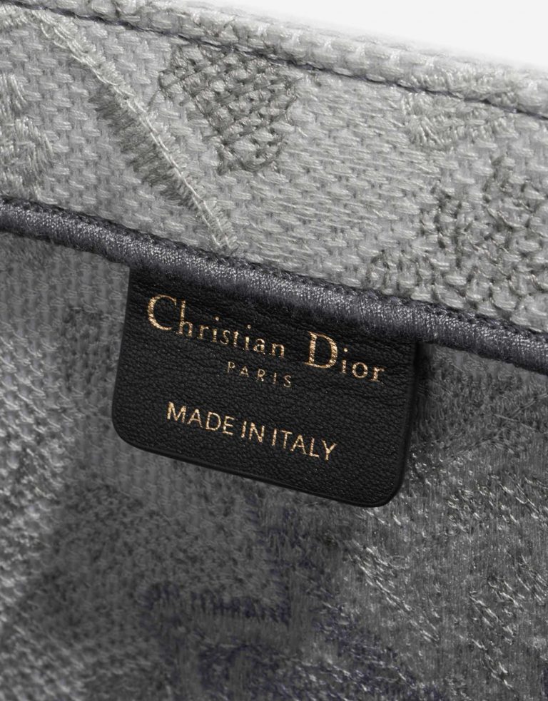 TÚI DIOR Book Tote Large Canvas Blue