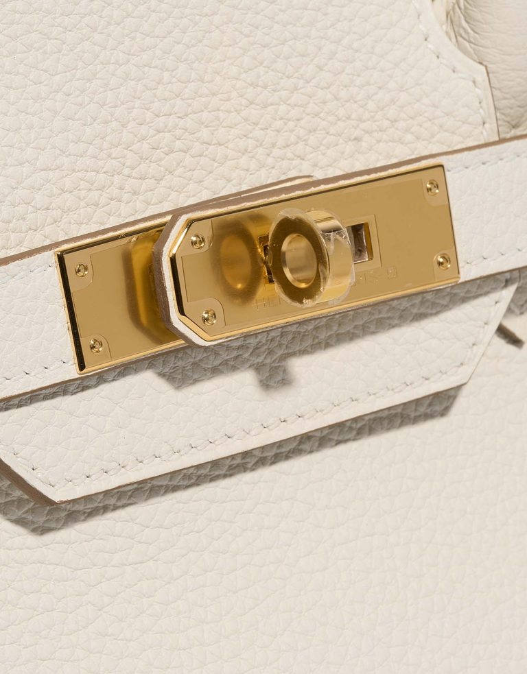 TÚI Hermès Birkin 30 Togo Mushroom