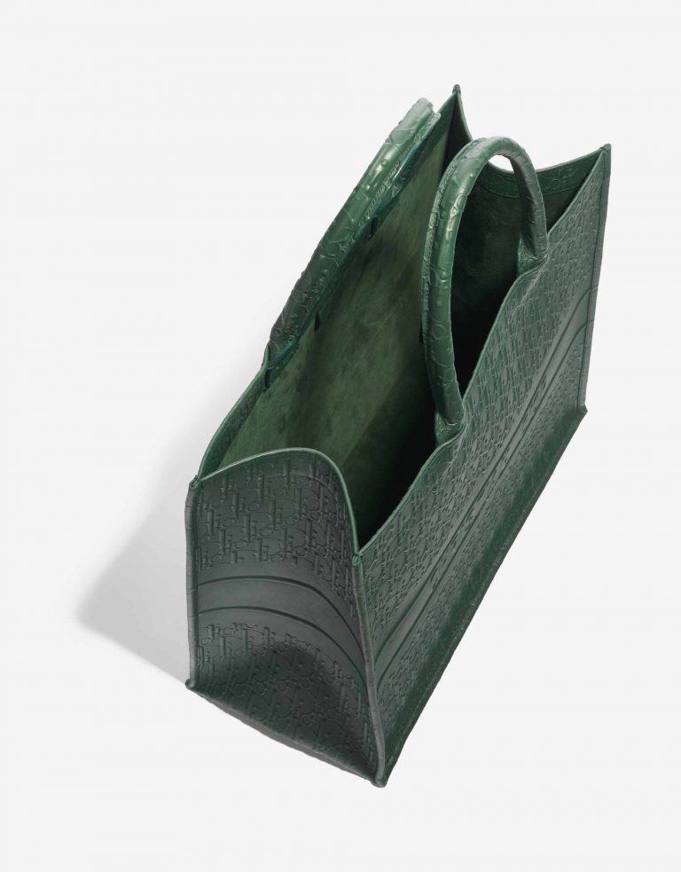 Top với hơn 69 về christian dior tote bag green mới nhất cdgdbentreeduvn #4 Top với hơn 69 về christian dior tote bag green mới nhất cdgdbentreeduvn