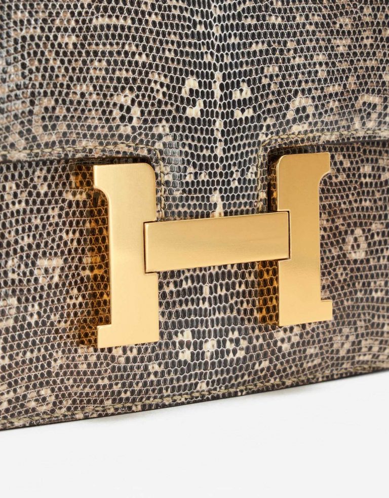 TÚI Hermès Constance 18 Mini Lizard Ombre Gold Buckle khóa vàng da thằn lằn