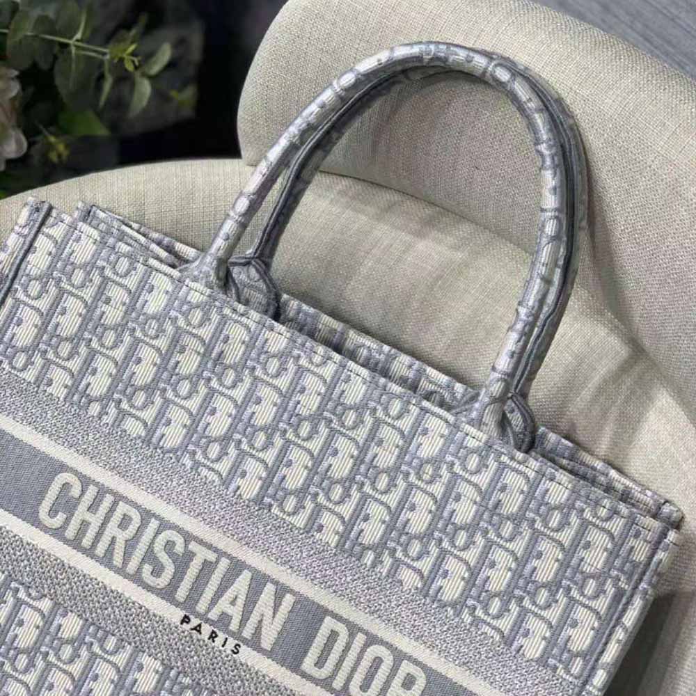 TÚI Dior Women Small Dior Book Tote Blue Mesh Embroidery