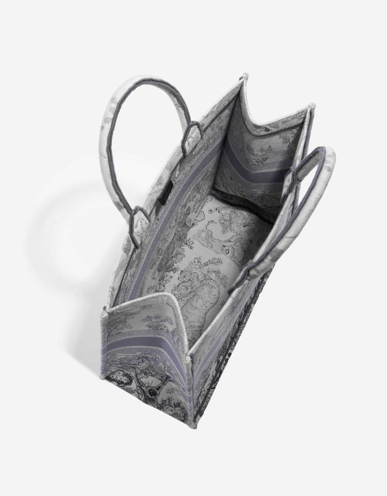TÚI DIOR Book Tote Large Canvas Blue