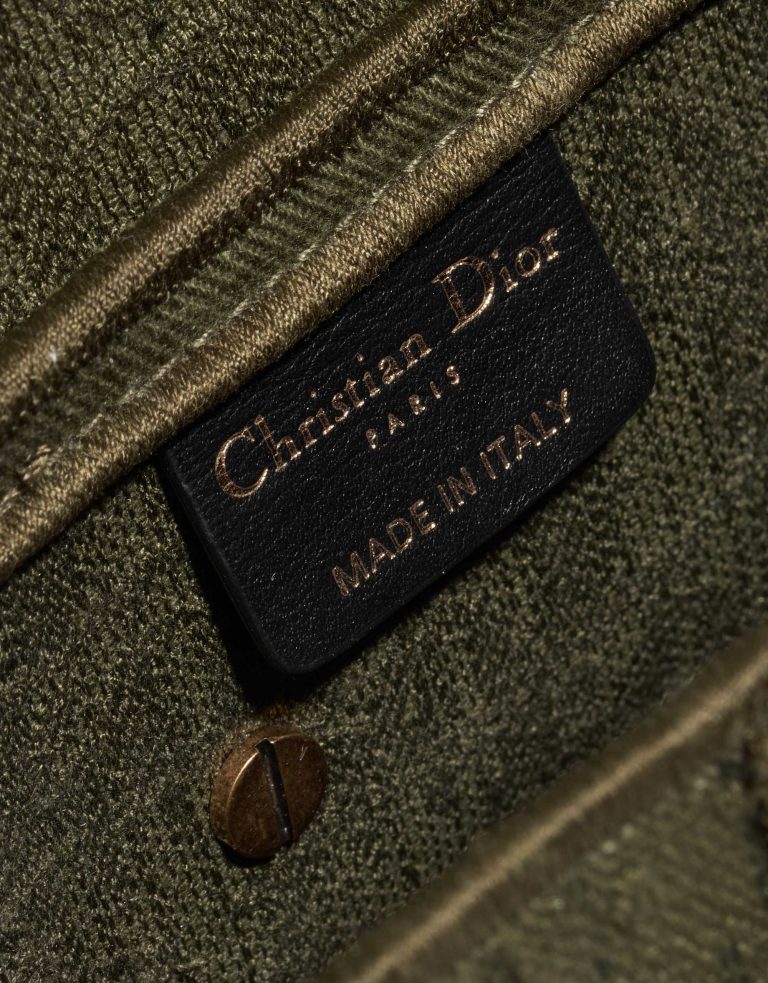 TÚI Dior Saddle Medium Canvas Green