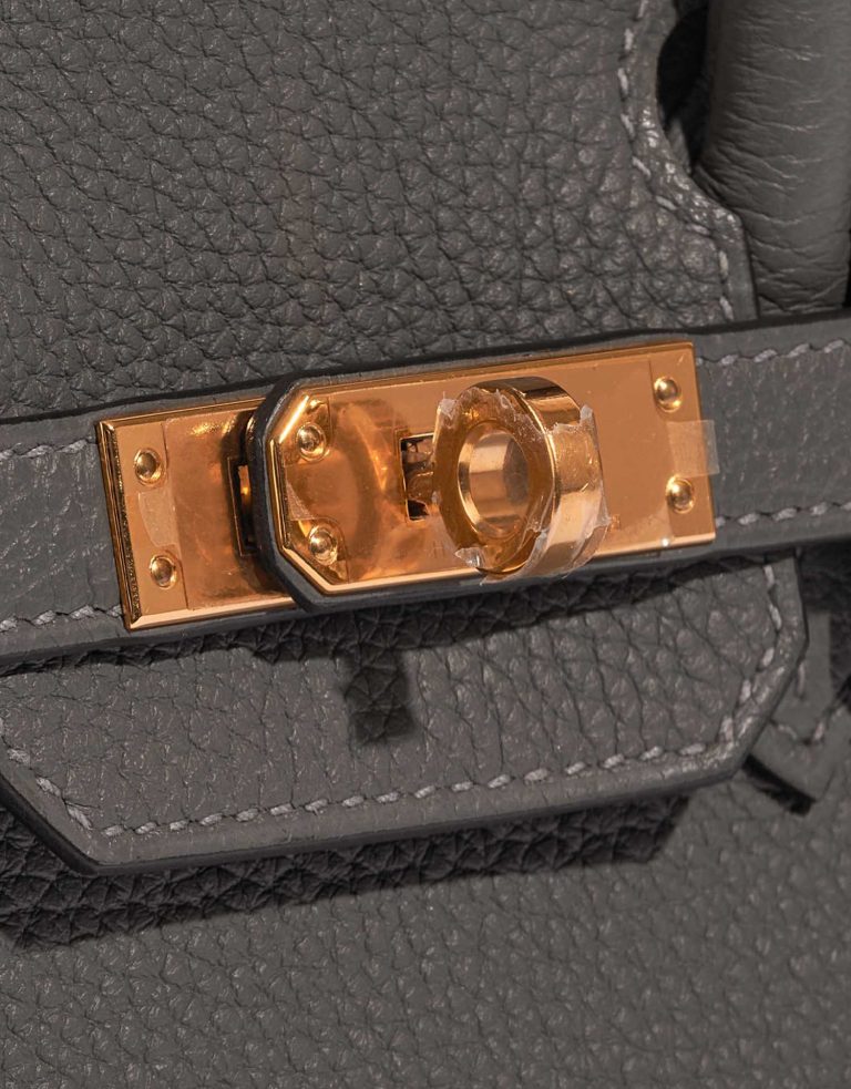 TÚI Hermès Birkin 25 Togo Gris Meyer