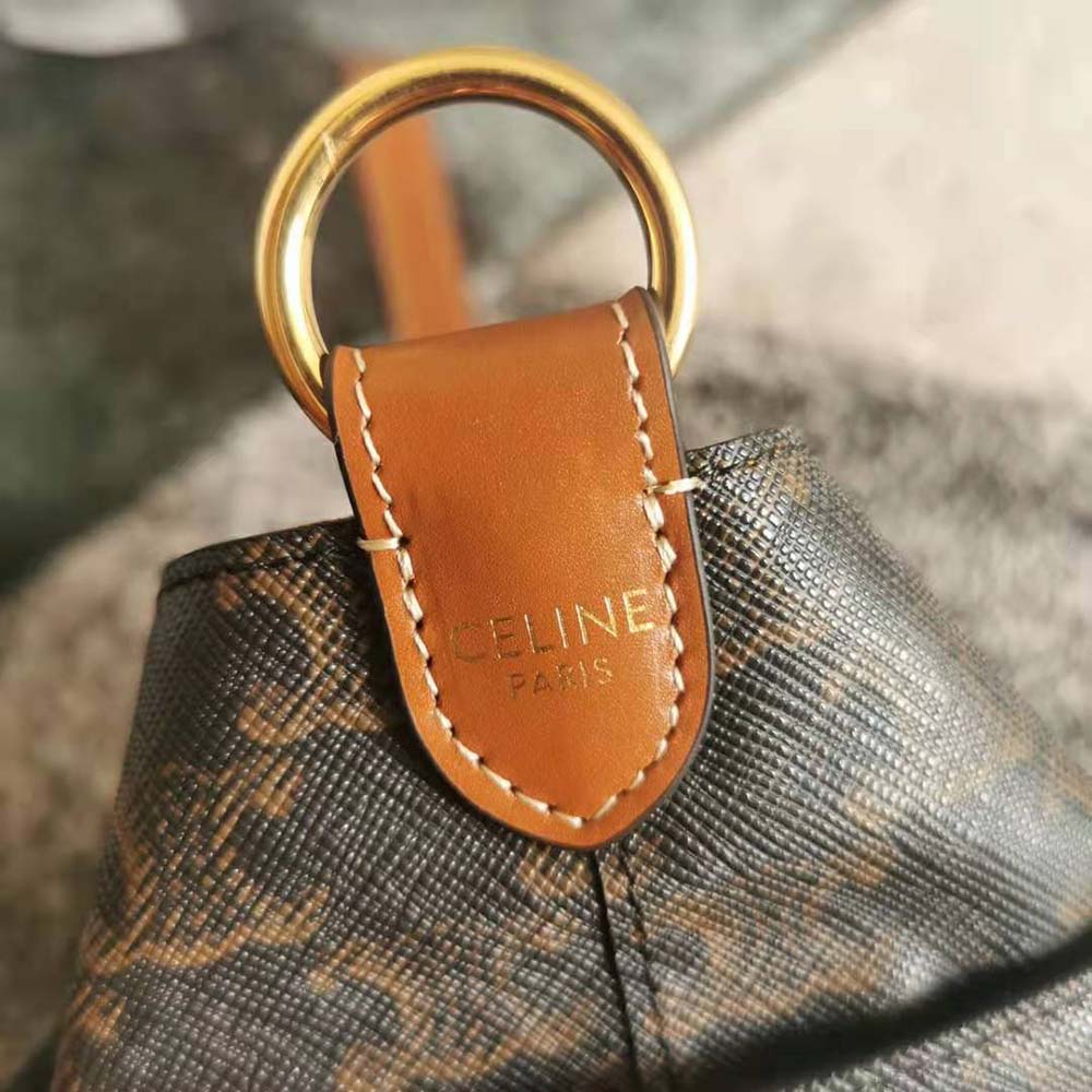 TÚI Celine Strap Box in Triomphe Canvas and Calfskin
