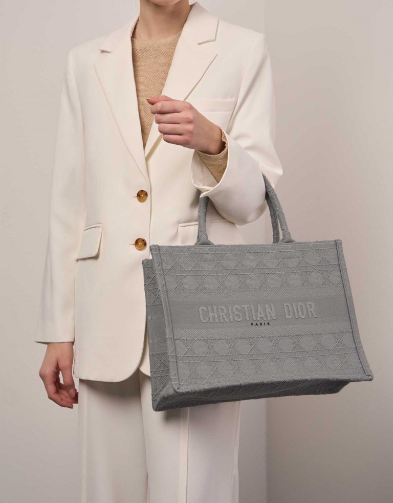 TÚI Dior Book Tote Medium Canvas Grey
