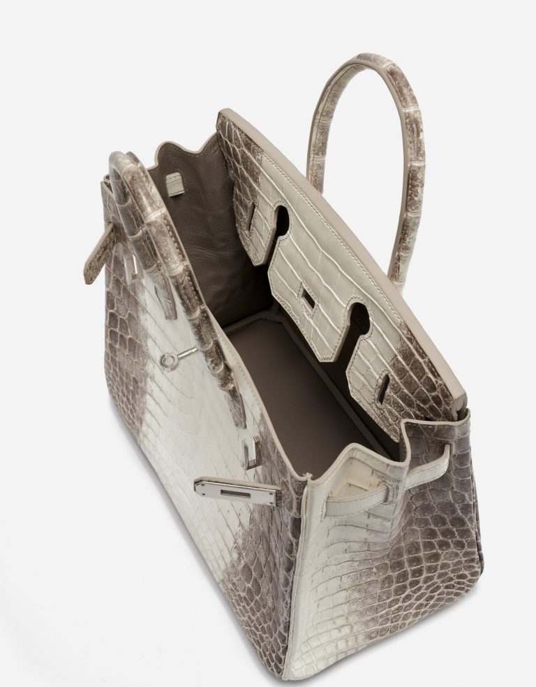 TÚI Hermès Birkin 30 Niloticus Himalaya Blanc da cá sấu bạch tạng Himalayan Silver Buckle khóa trắng