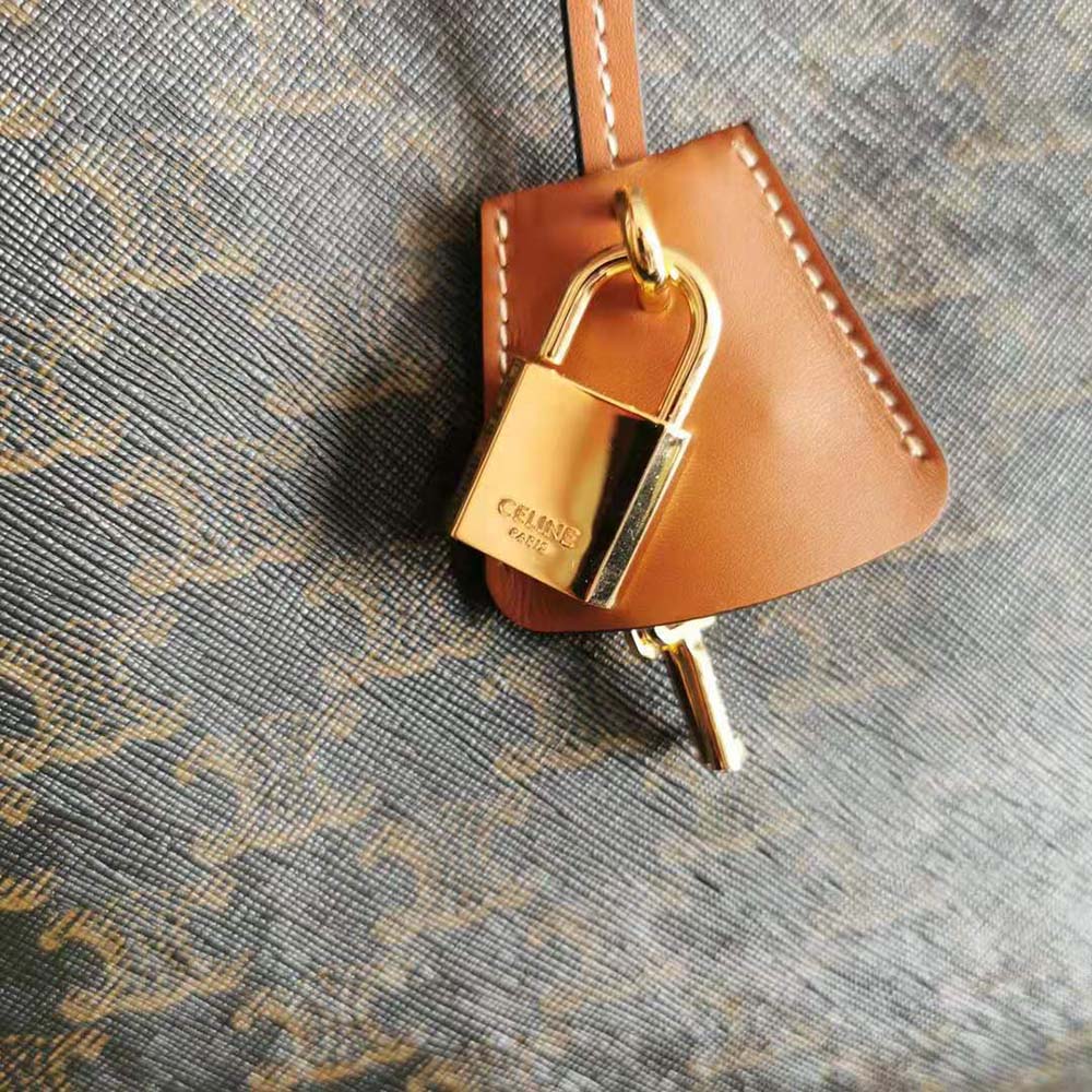 TÚI Celine Horizontal Cabas in Triomphe Canvas and Calfskin