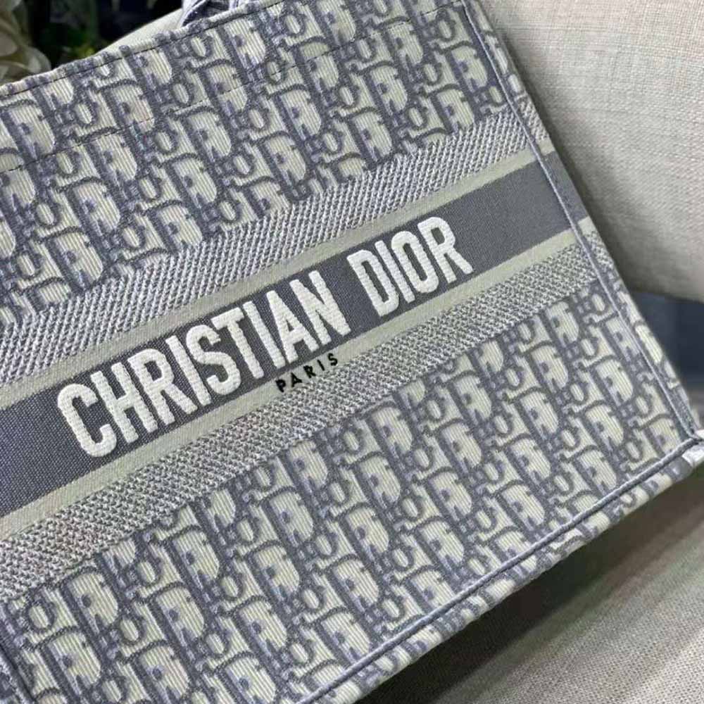 TÚI Dior Women Small Dior Book Tote Blue Mesh Embroidery