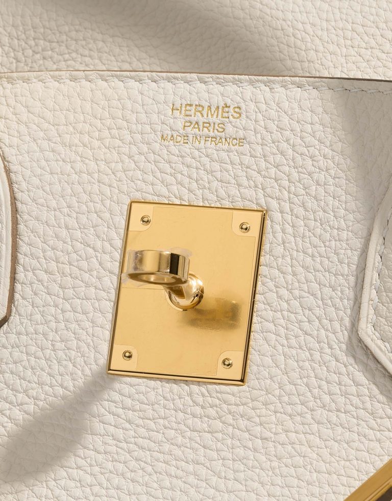TÚI Hermès Birkin 30 Togo Mushroom