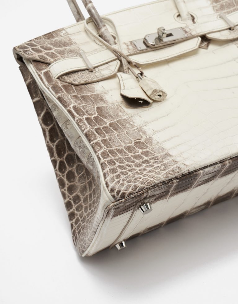 TÚI Hermès Birkin 30 Niloticus Himalaya Blanc da cá sấu bạch tạng Himalayan Silver Buckle khóa trắng