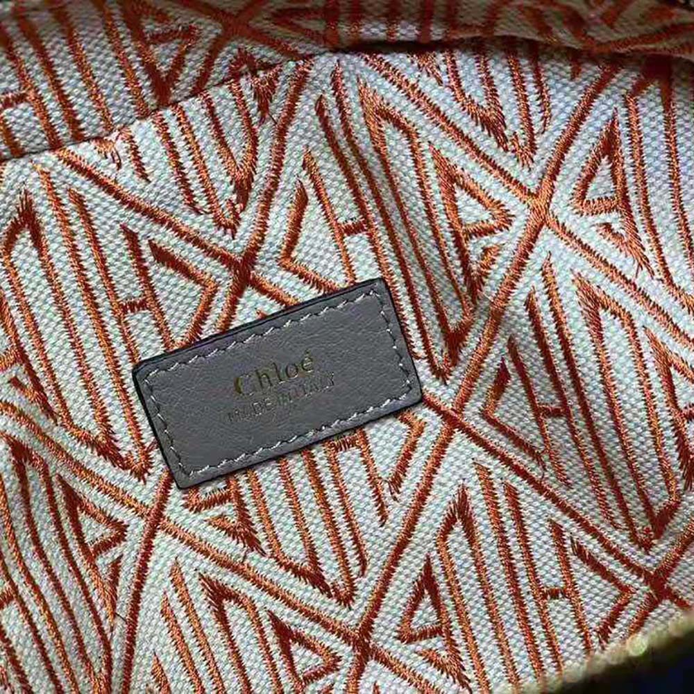 TÚI Chloe Bag in Grained and Shiny Calfskin