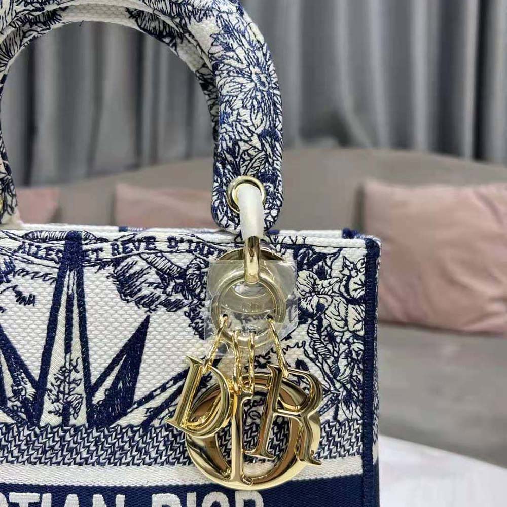 TÚI Christian Dior Lady D-lite Bag Blue Multicolor Rêve D’Infini Embroidery
