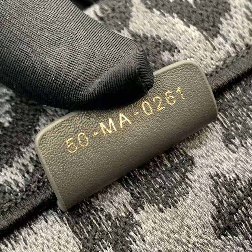 TÚI Dior Women Book Tote Gray Mizza Embroidery