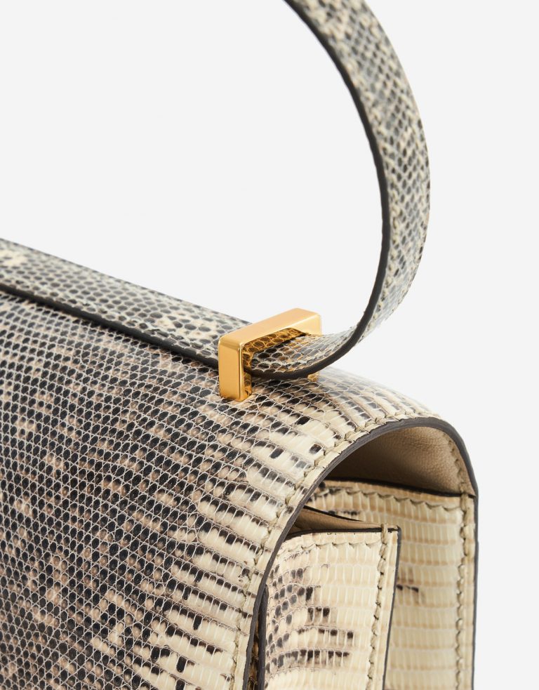 TÚI Hermès Constance 18 Mini Lizard Ombre Gold Buckle khóa vàng da thằn lằn