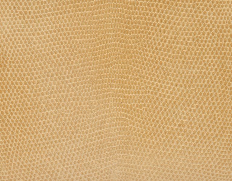 TÚI Hermès Kelly 20 Niloticus Lizard Parchemin Gold Buckle khóa vàng