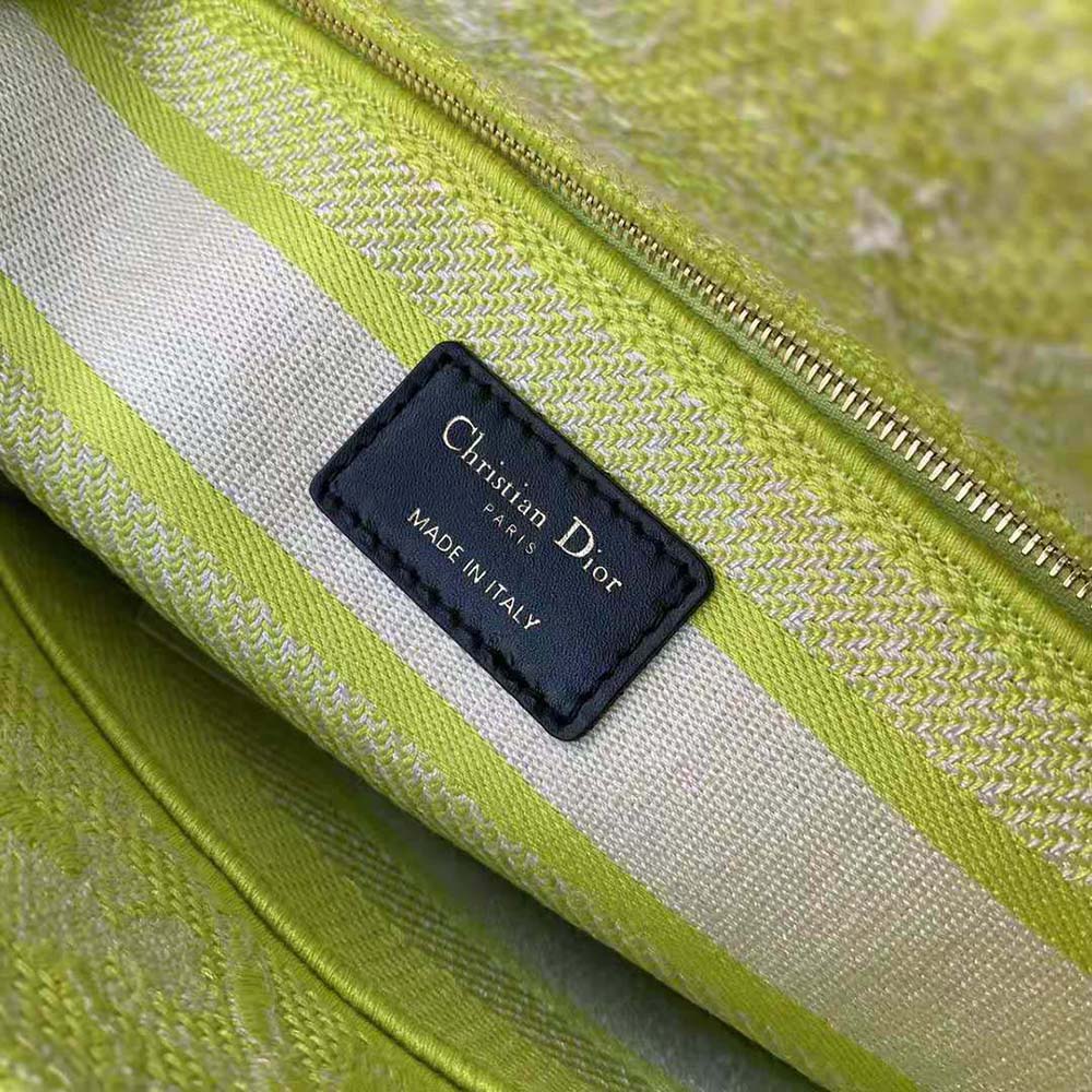 TÚI Dior Women Medium Lady D-lite Bag Lime Toile de Jouy Reverse Embroidery