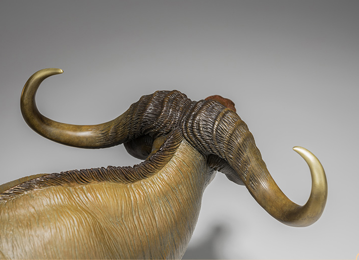 Bò rừng đồng thau nguyên chất dũng mãnh