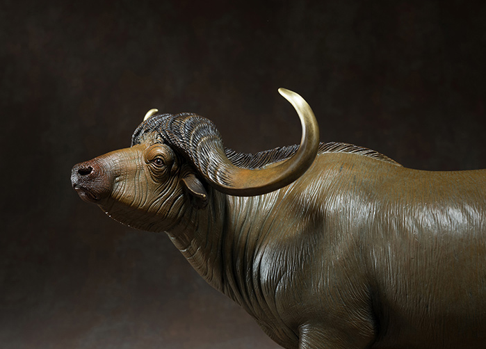 Bò rừng đồng thau nguyên chất dũng mãnh