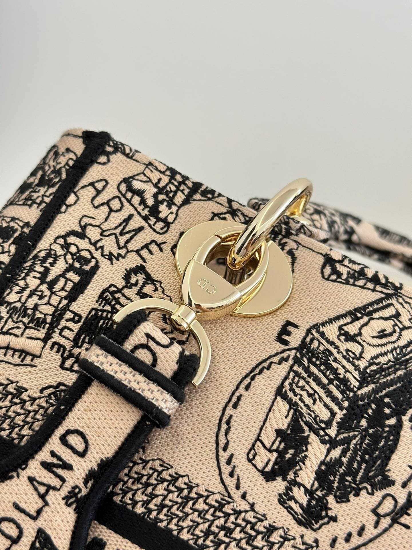 TÚI CHRISTIAN DIOR Lady D-lite Pink Toile de Jouy Reverse Embroidery