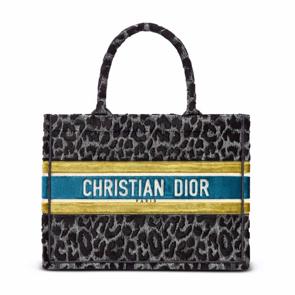 TÚI Dior Women Small Dior Book Tote Gray Mizza Embroidered Velvet