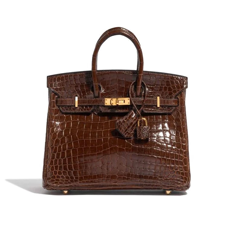 TÚI Hermès Birkin 25 Niloticus Crocodile Miel Gold Buckle khóa vàng