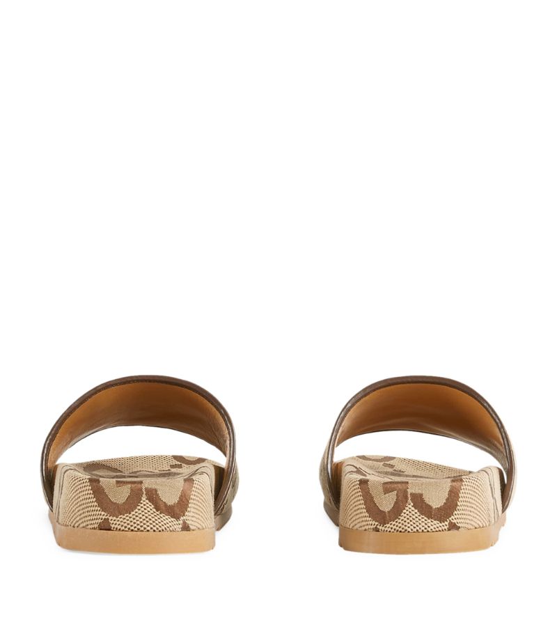 GIÀY GUCCI GG Canvas Slides