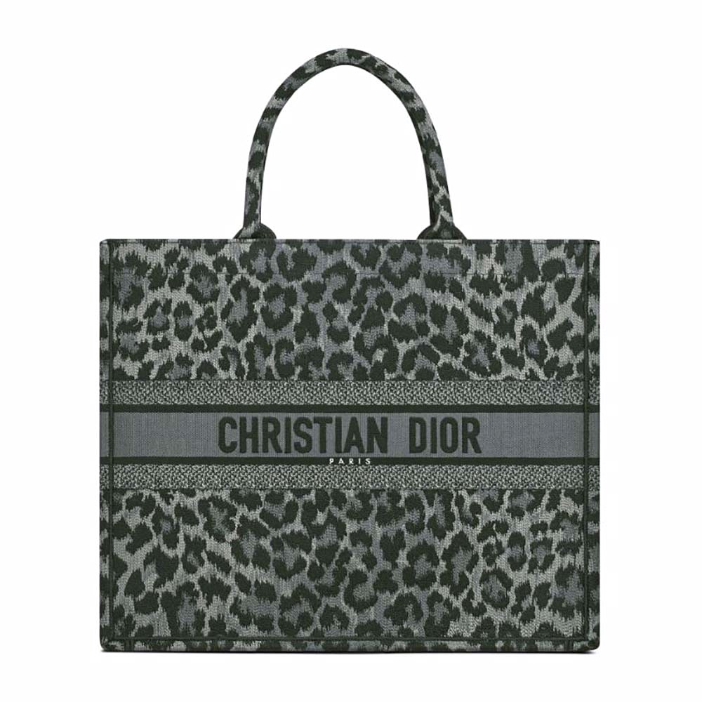 TÚI Dior Women Book Tote Gray Mizza Embroidery