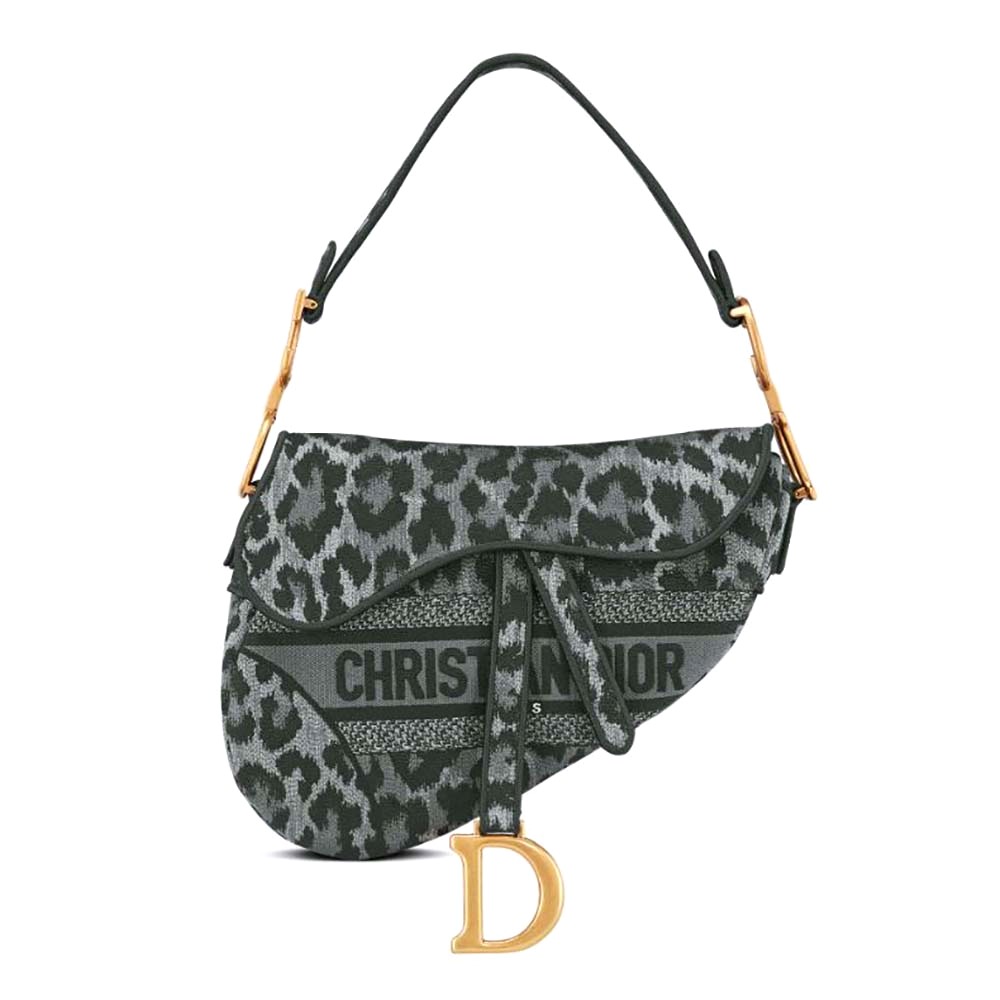 TÚI Dior Women Saddle Bag Gray Mizza Embroidery