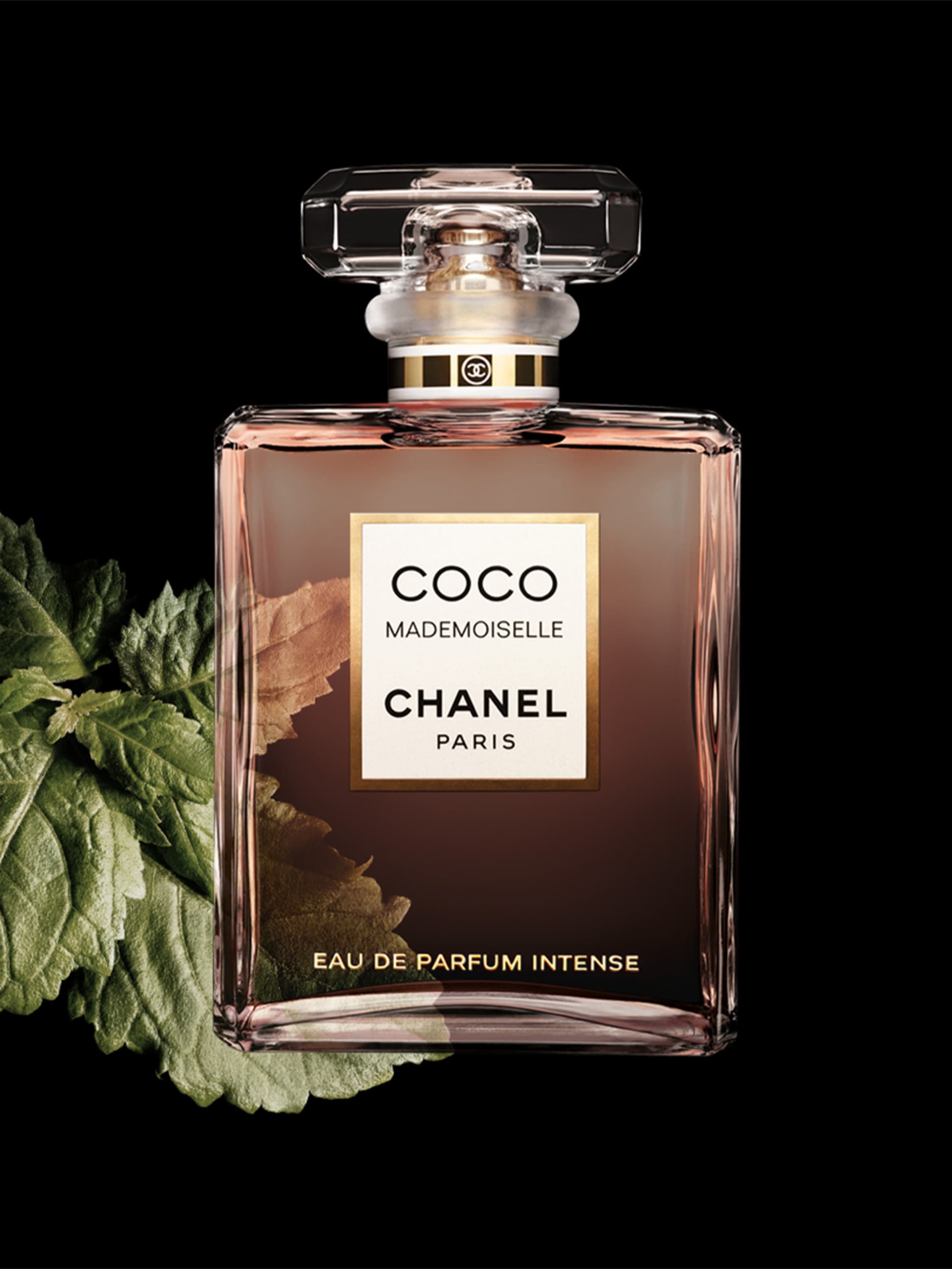Top với hơn 55 về coco chanel eau de parfum mới nhất  cdgdbentreeduvn