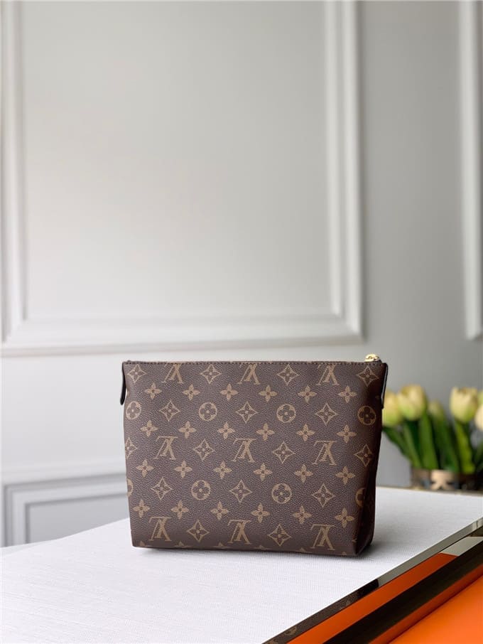 Túi LOUIS VUITTON Pouch handbag